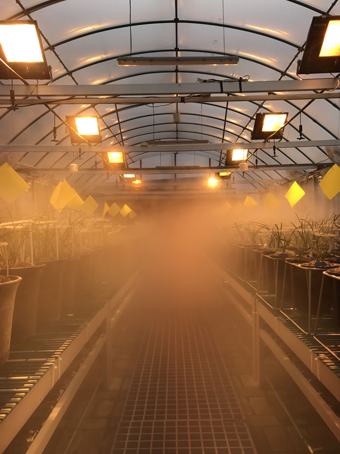 西安千禾药业 ―温室喷雾加湿系统